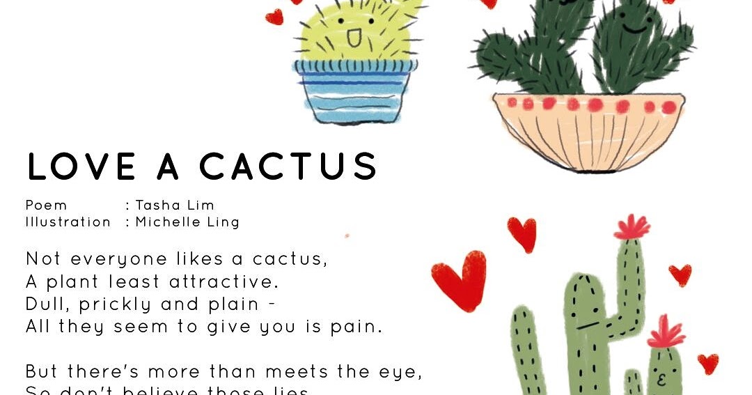 Описание кактуса. Кактус перевод на английский. Кактус перевод на английский. Про кактус на английском языке. Кактус перевод на английский.