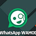 Wamod beta 7 V1.0.7.3