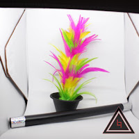 Jual alat sulap Wand To Flower tongkat keluar jadi bunga Jual alat sulap Wand To Flower tongkat keluar jadi bunga