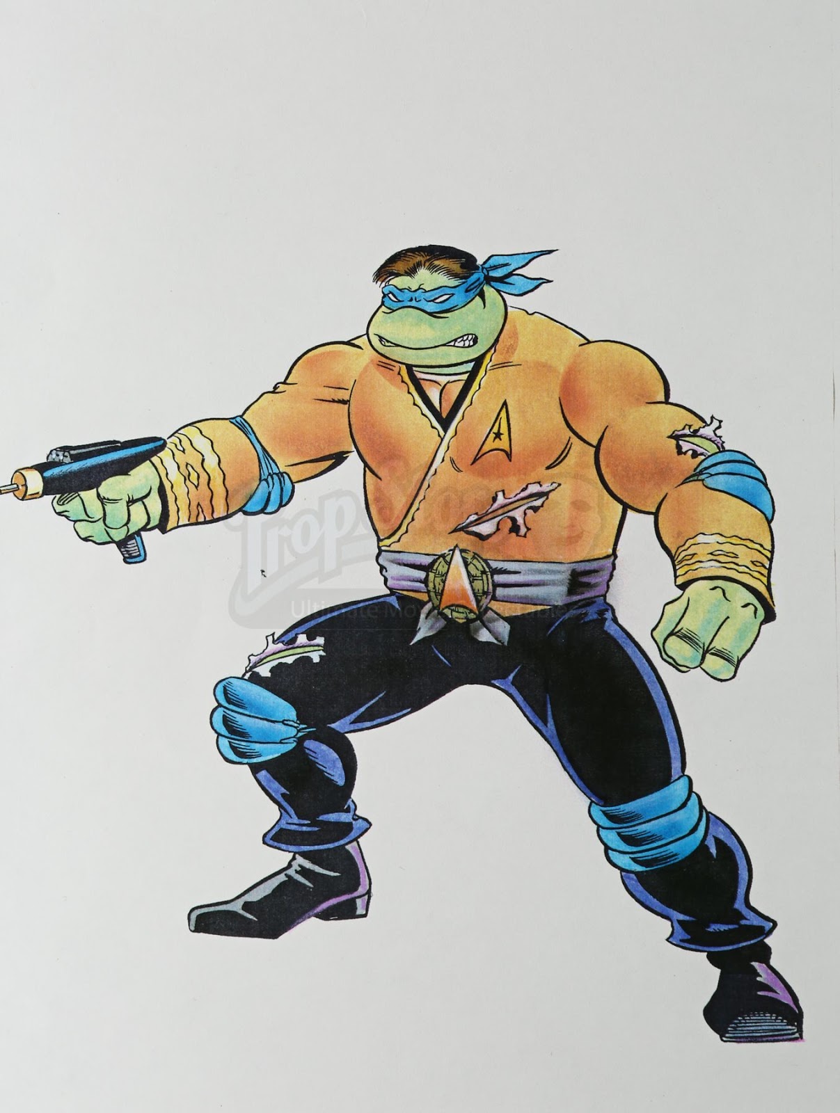 tmnt star trek crossover figures