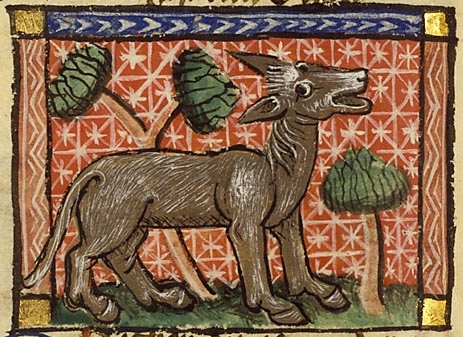 donkeys in medieval illuminated manuscripts donkeys in medieval illuminated manuscripts