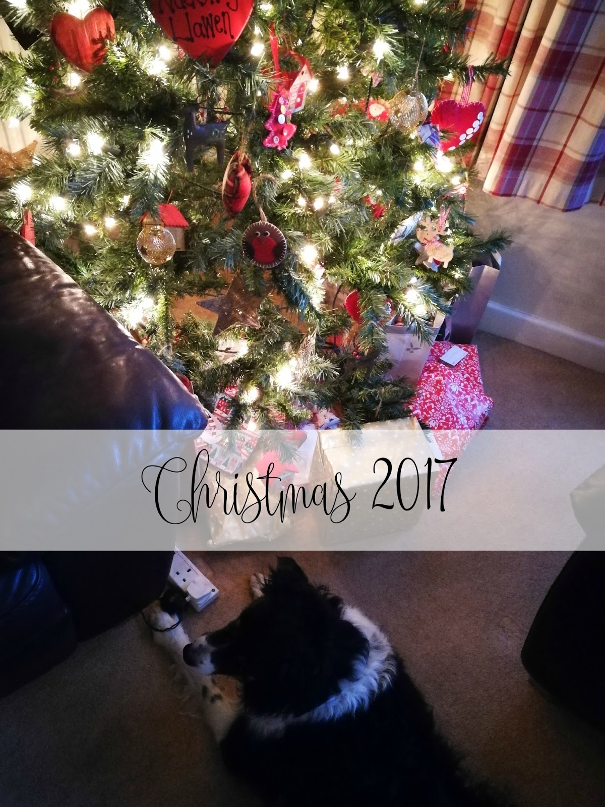 L's Christmas Photos 2017