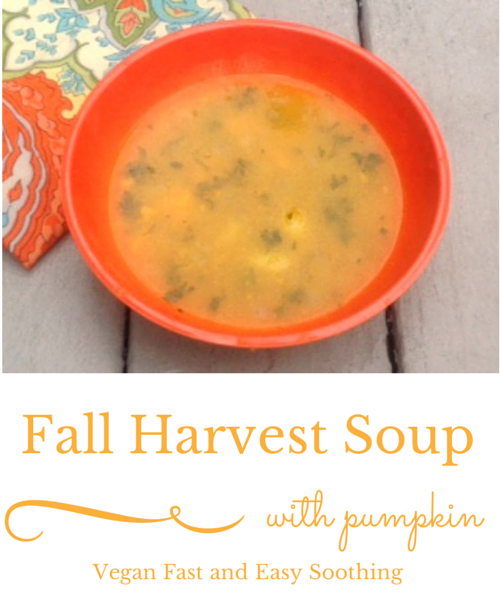 vegan fall harvest soup with pumpkin