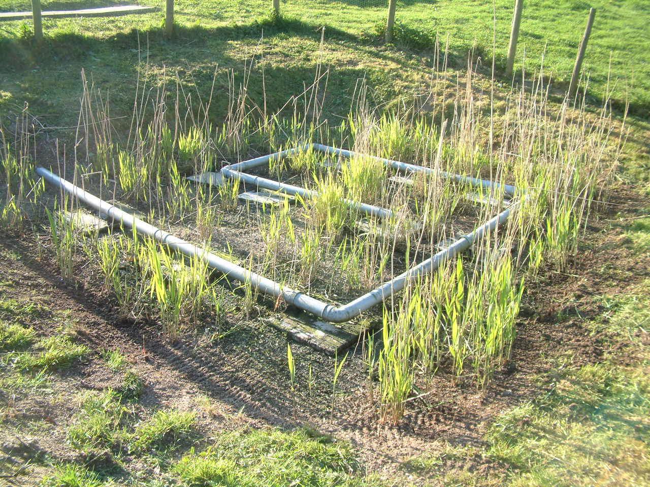 treatment wetlands Compact Vertical Flow Reed Beds