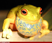 Here are some Easter animal pics for you to enjoy! easter frog 