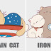 E se os personagens da Marvel fossem gatinhos fofinhos?