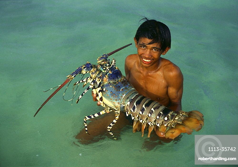 I Spy Animals What Do Lobsters and Rainbows Have In Common?