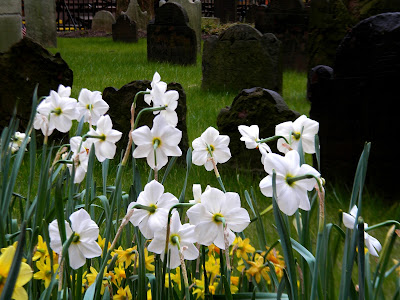 Trinity Church Wall Street