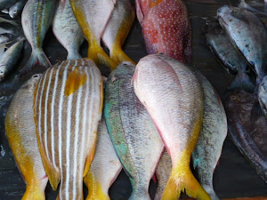 Indo Fish