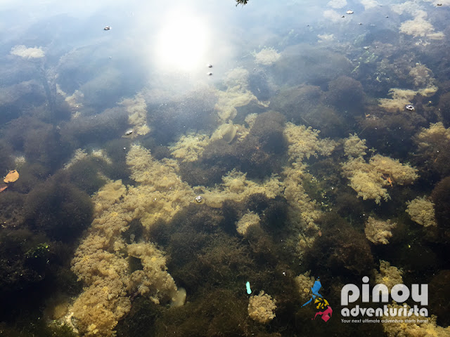 Lagoon on Sta Cruz Island Zamboanga City