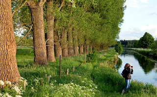 Parque Natural Schwalm-Nette en Westfalia Parque Natural Schwalm-Nette en Westfalia