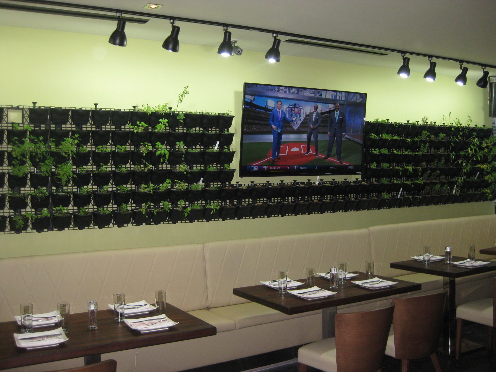 Northern Virginia Restaurant Blog Greenhouse Bistro and Samovar Tea