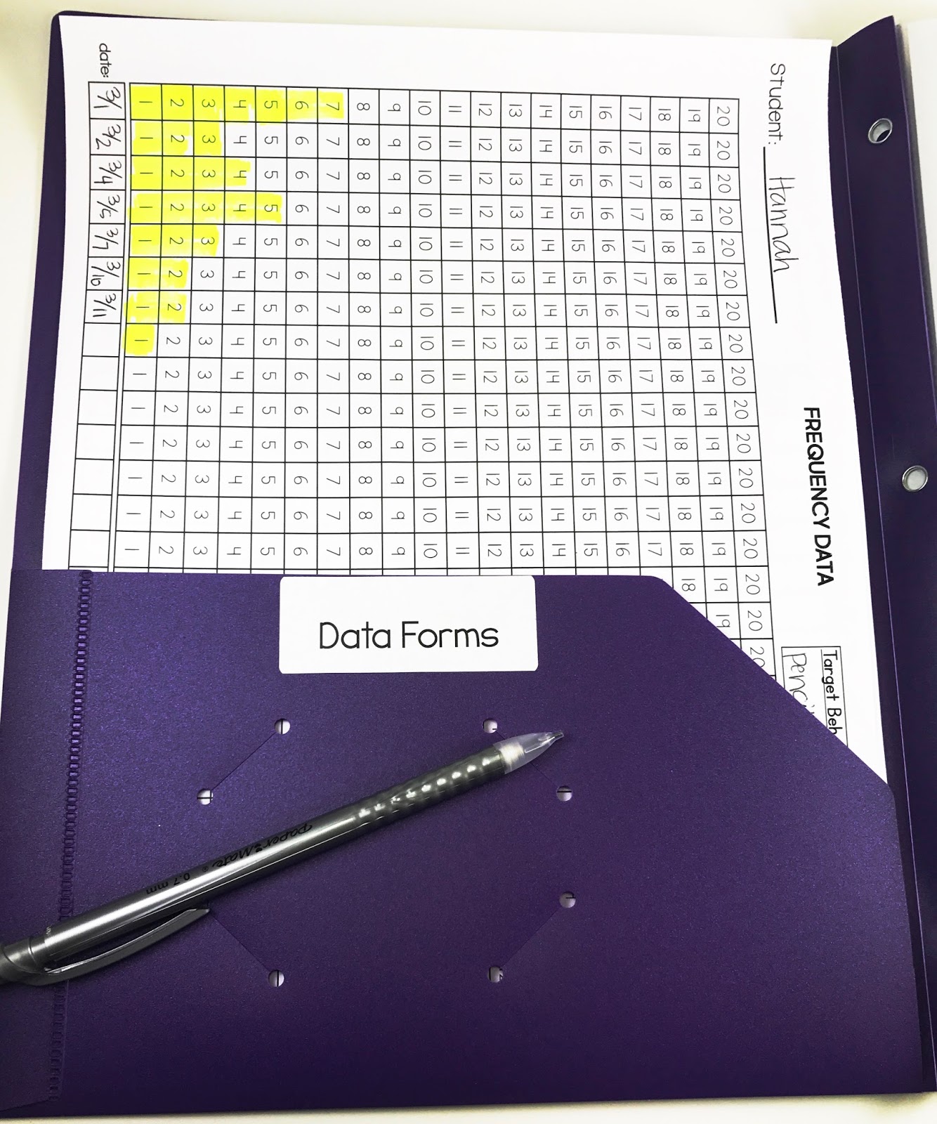 Data Forms and Assessments School Bells N Whistles