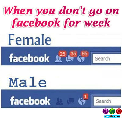 Female Vs Male on Facebook, funny jokes picture
