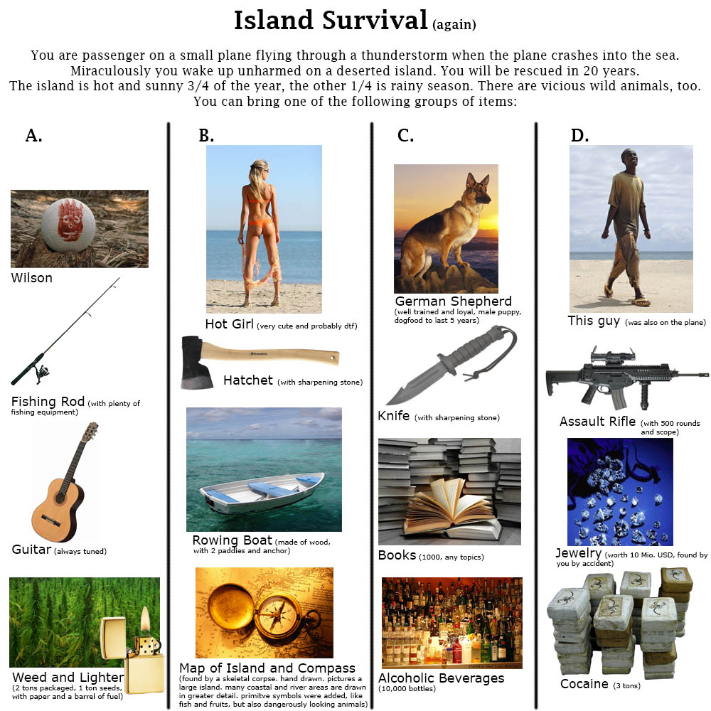 Choose Your Island Survival 4chan's CYOA Games Choose Your Own