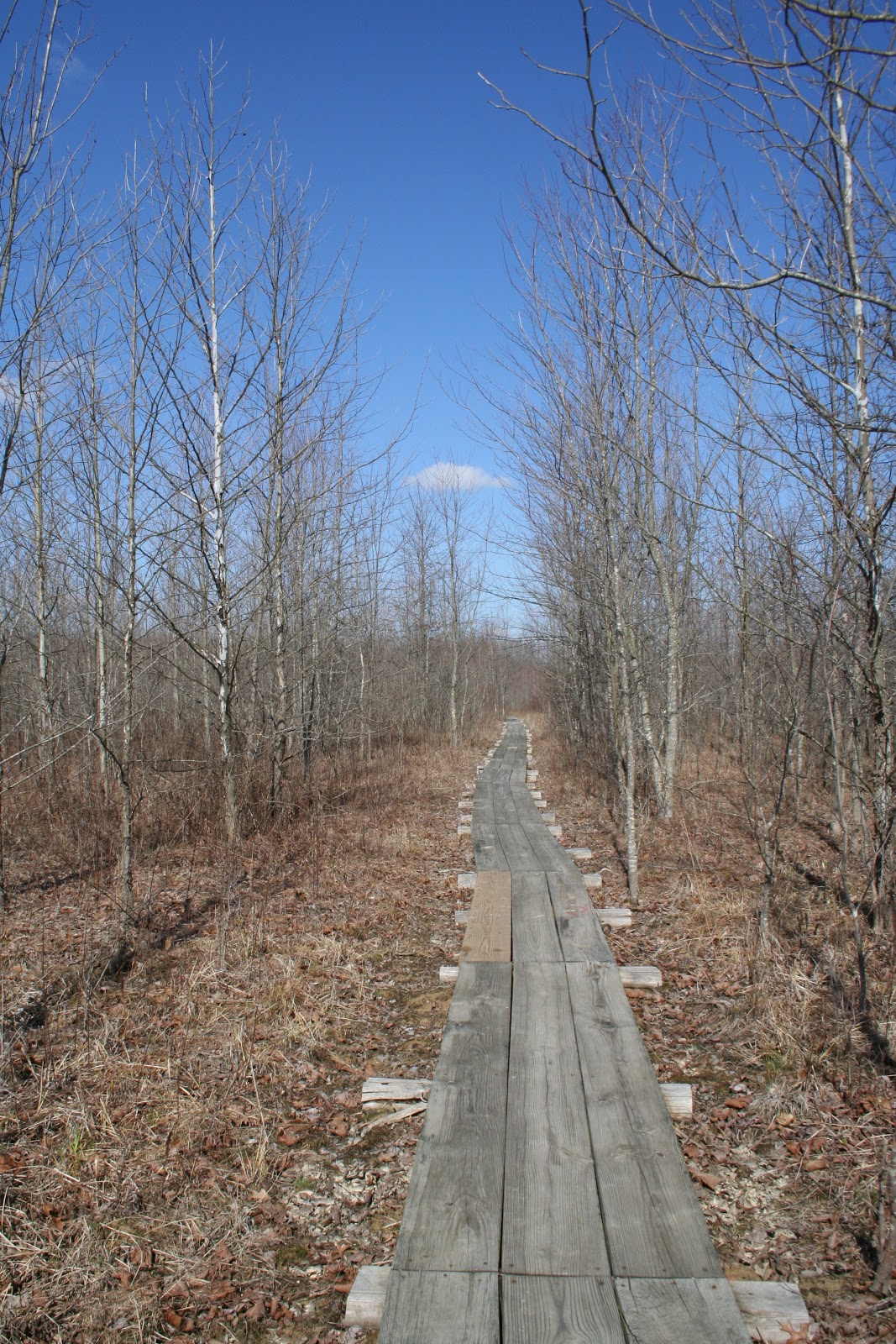Ellettsville, IN Beanblossom Bottoms Nature Preserve Explore This City