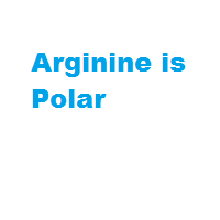 Arginine is Polar Arginine is Polar