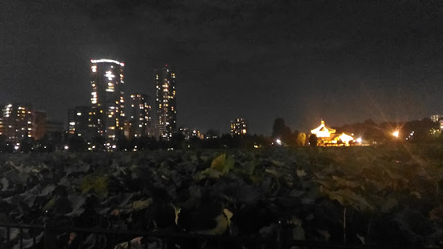 Comme il était tôt je me suis arrêter au parc de Ueno
