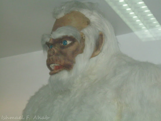 Yeti at Dreamworld Bangkok