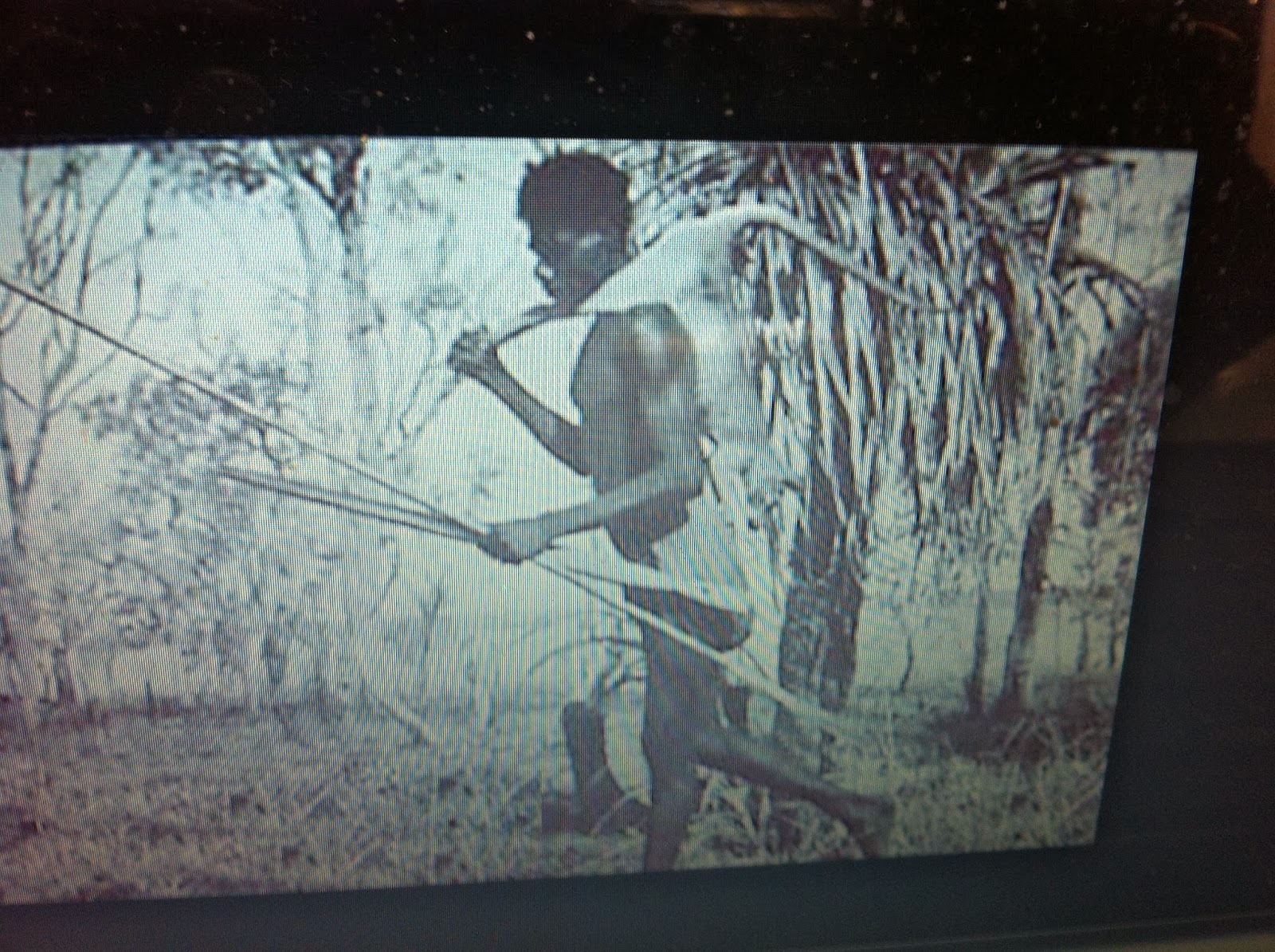 THE BLACK SOCIAL HISTORY:: BLACK SOCIAL HISTORY : THE WATERLOO CREEK