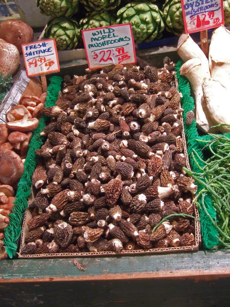 Morille, the Morel Mushroom. Morel mushrooms on French Menus. The