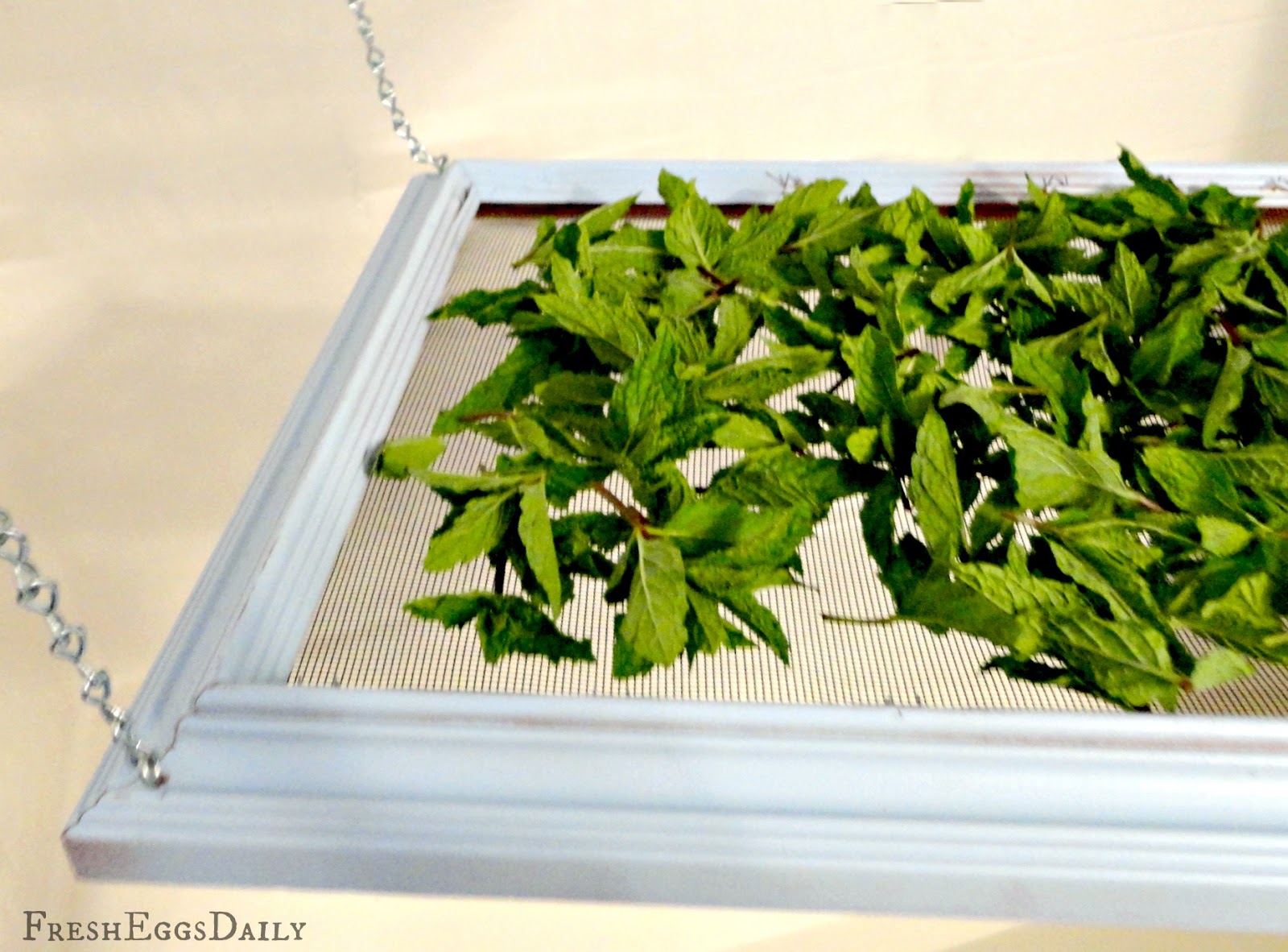 DIY Herb Drying Rack