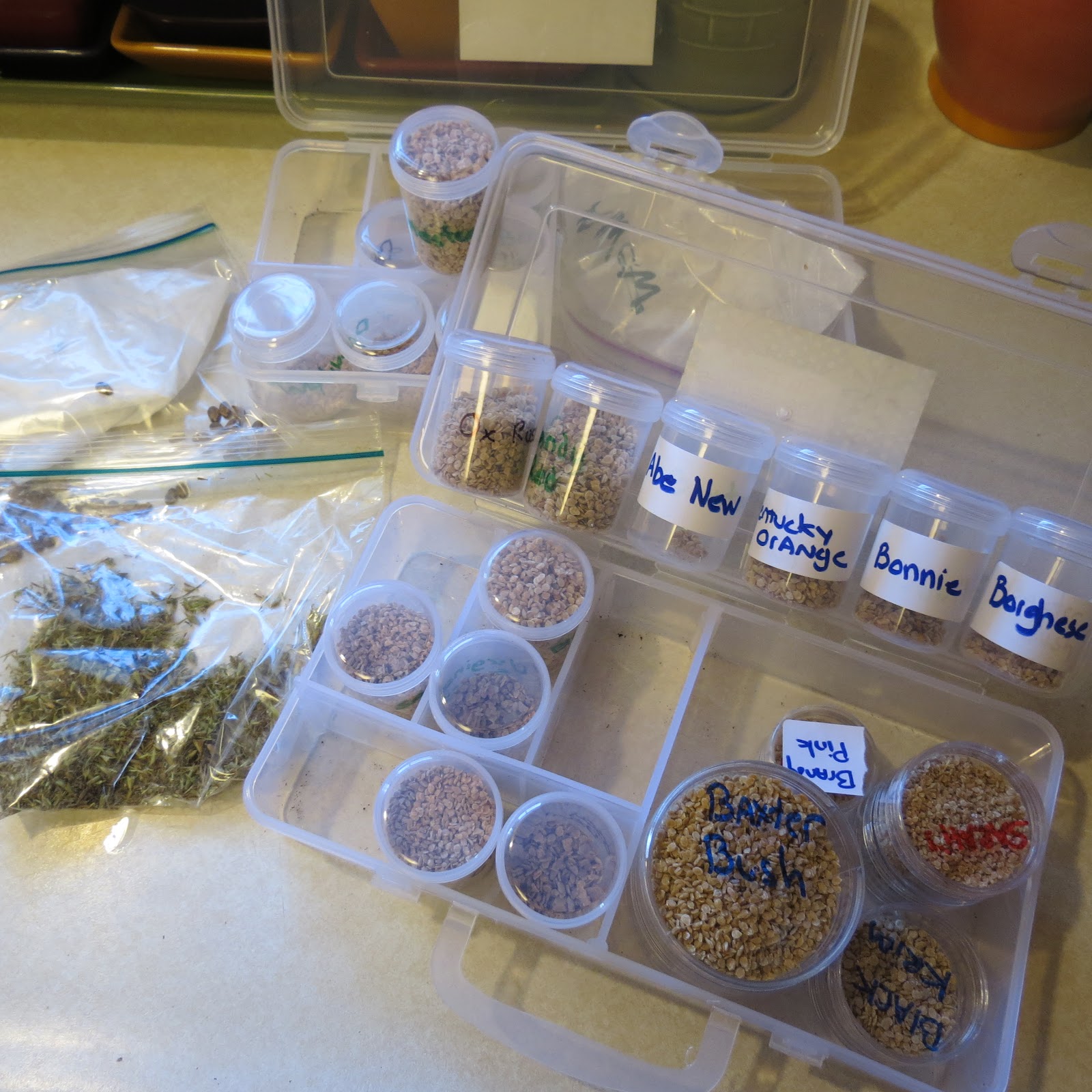 The Rusted Vegetable Garden