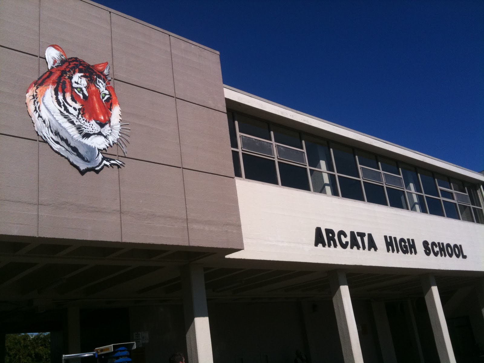 The Art of Donovan Clark: I painted the Arcata High School mascot/logo