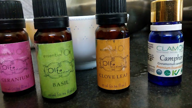 Essential oils of Geranium, Basil, Clove Leaf & Camphor