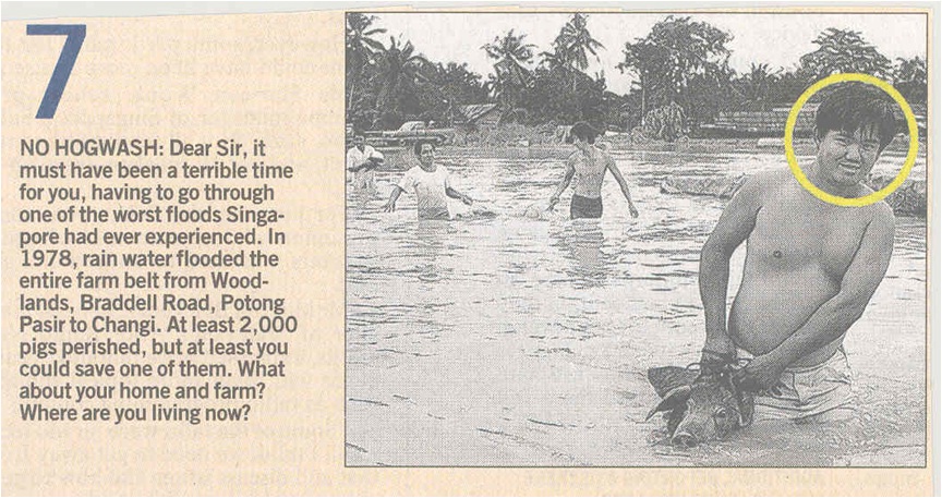 Rescuing+pig+from+flood+in+Singapore+(ST,+1978).jpg