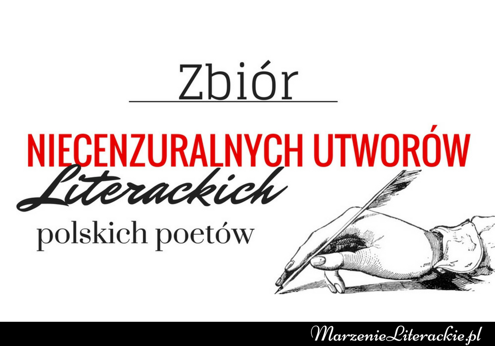 Język polski na wesoło: czyli zbiór niecenzuralnych utworów literackich polskich poetów