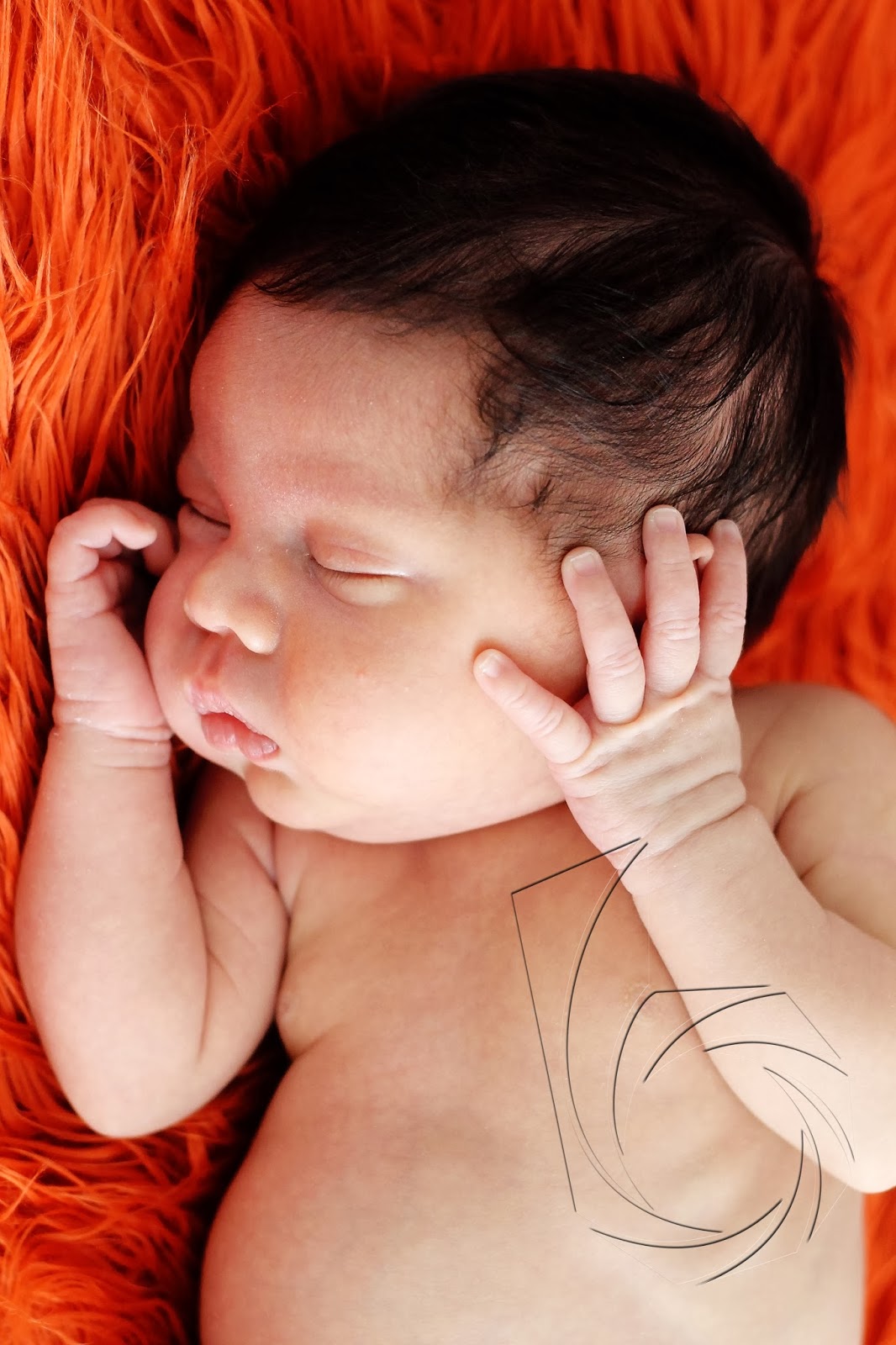 Fotos de New Born Fotos de New Born