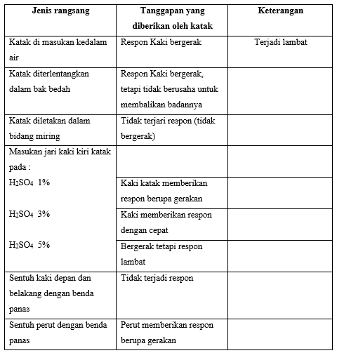 SISTEM SARAF DAN OTOT PADA KATAK