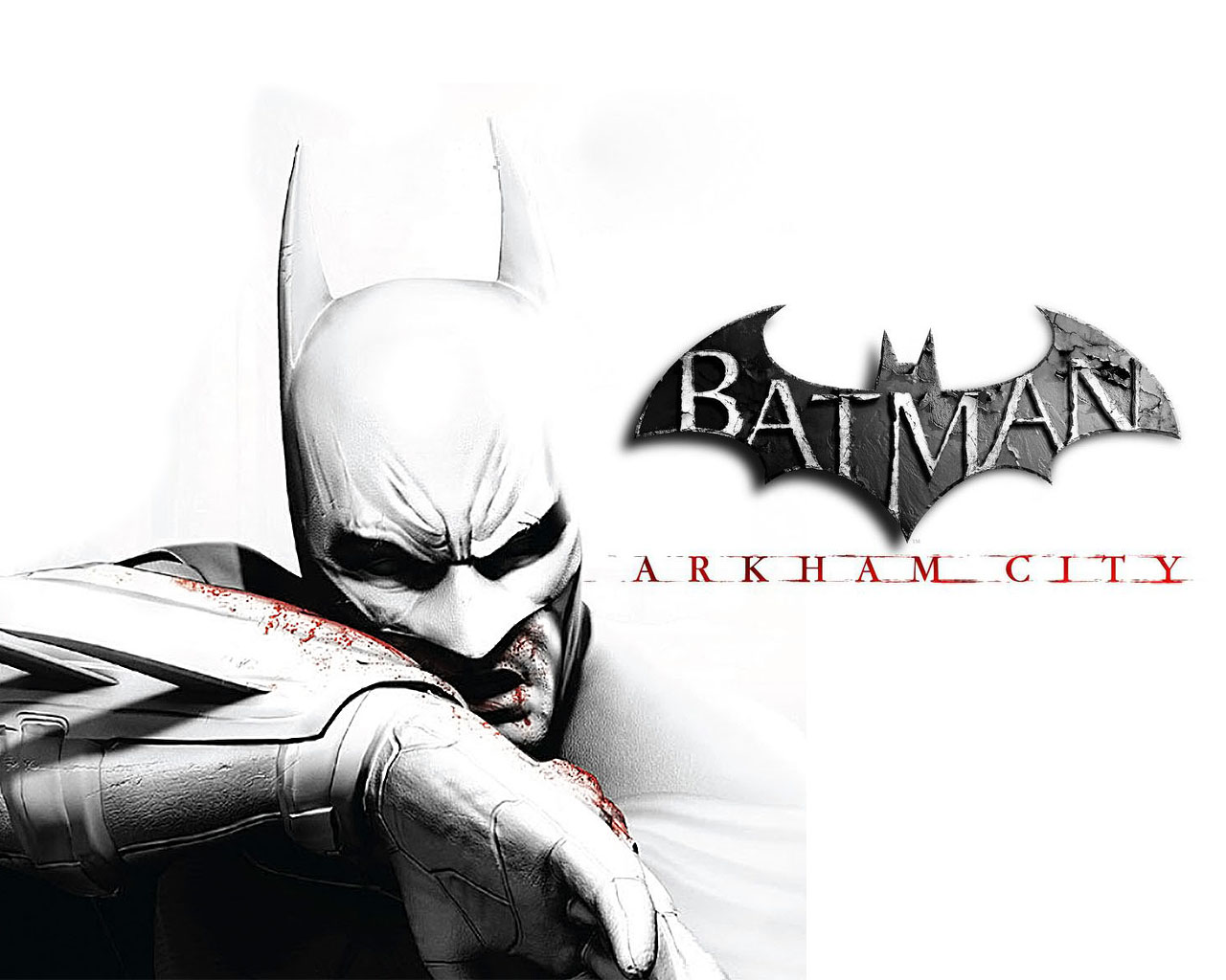 Batman arkham city proper crack fix download pc