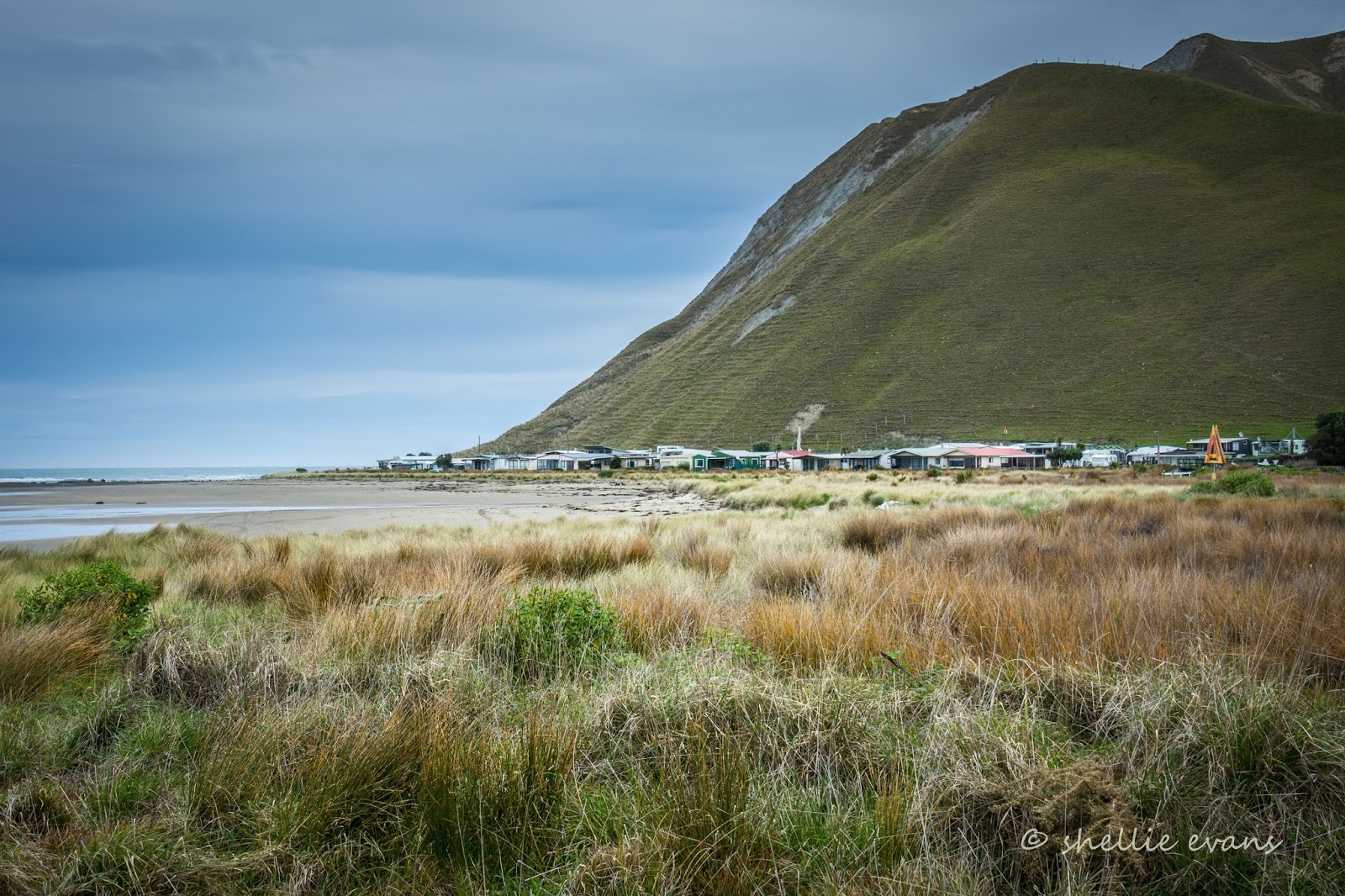 Two Go Tiki Touring Beach Hop South Blackhead Beach & Turkeys
