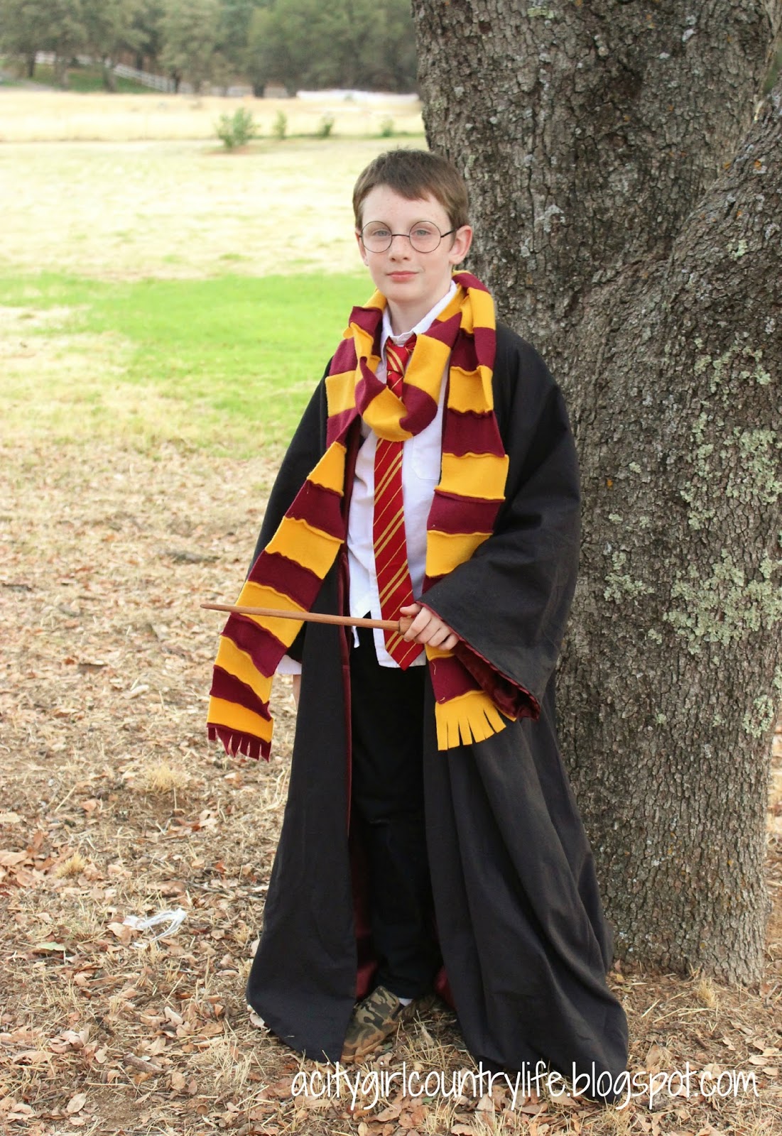 City Girl Country Life: Harry Potter Costume