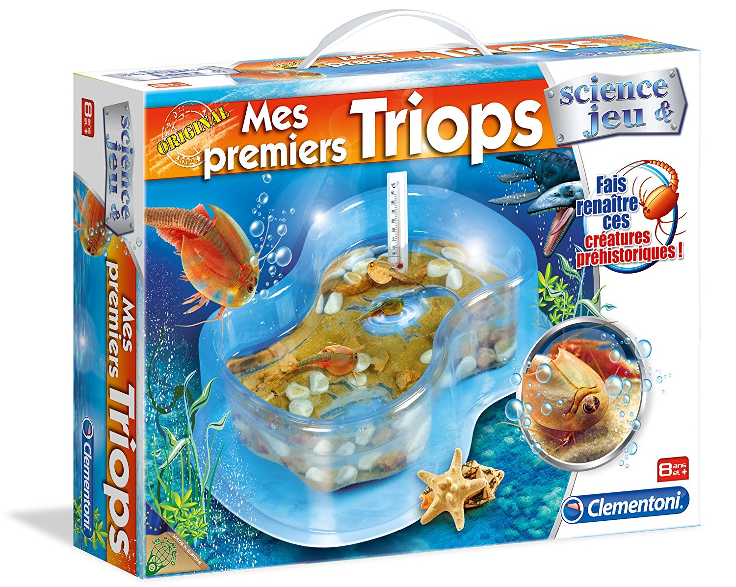 La classe de Mme Kathleen: Triops