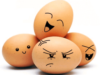 Buah Yang Bisa Menurunkan Berat Badan Dengan Cepat telur