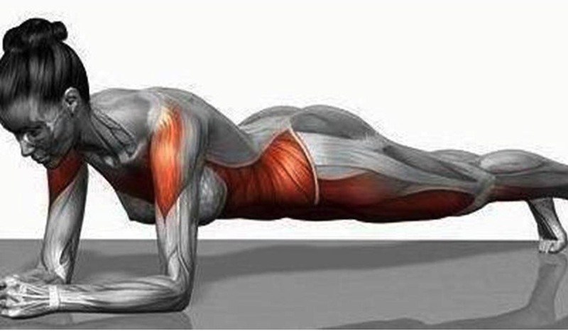 how-to-plank-exercise