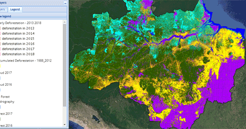 Maps Mania The Destruction Of The Amazon Rainforest