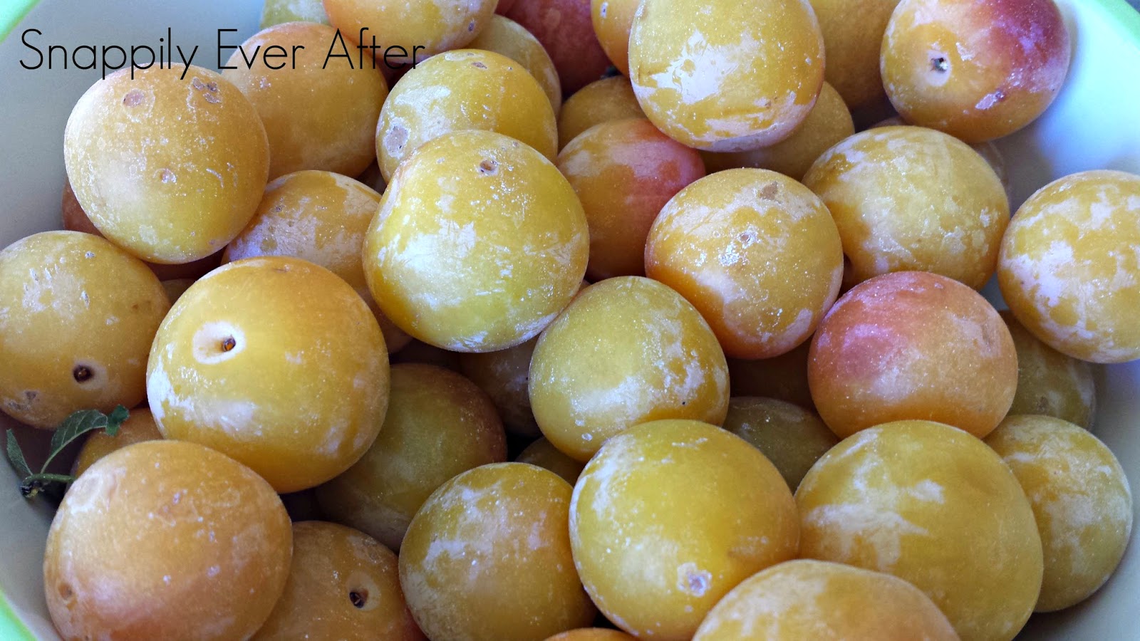 Snappily Ever After Plums in Season