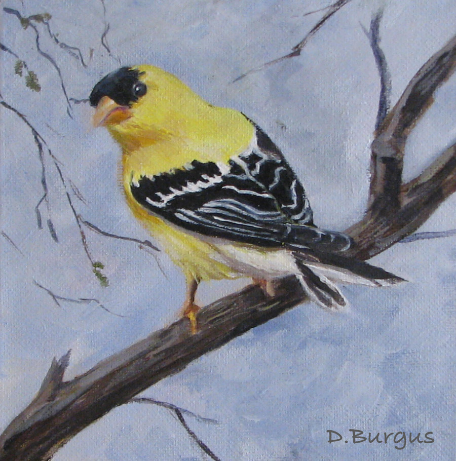 Art Helping Animals: Wildlife Painting Goldfinch by Della Burgus