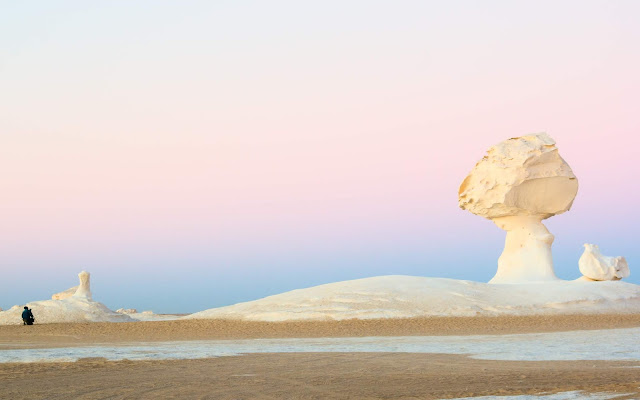 bahariya oasis