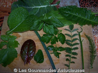 Comment remplacer origan