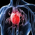 Heart Attack: Risks from Food Intake