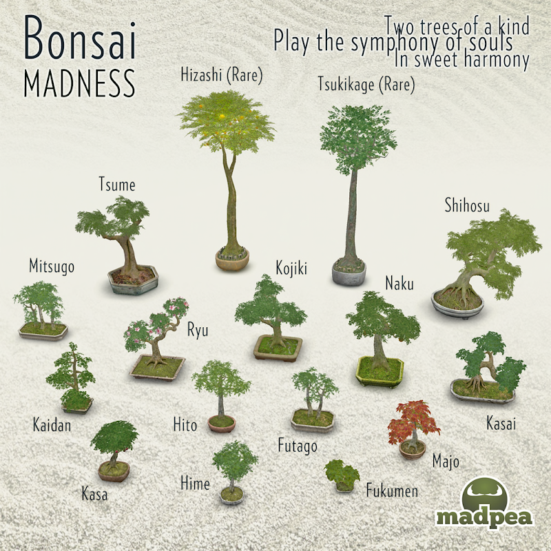 Info Spesial Bonsai Images With Names, Motif Terbaru!