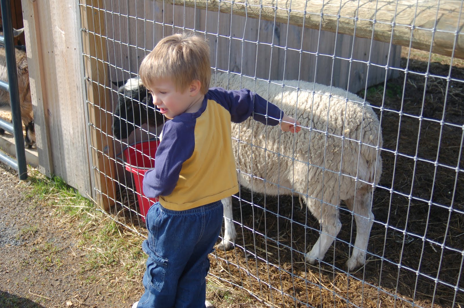 ABC - All 'Bout Connor