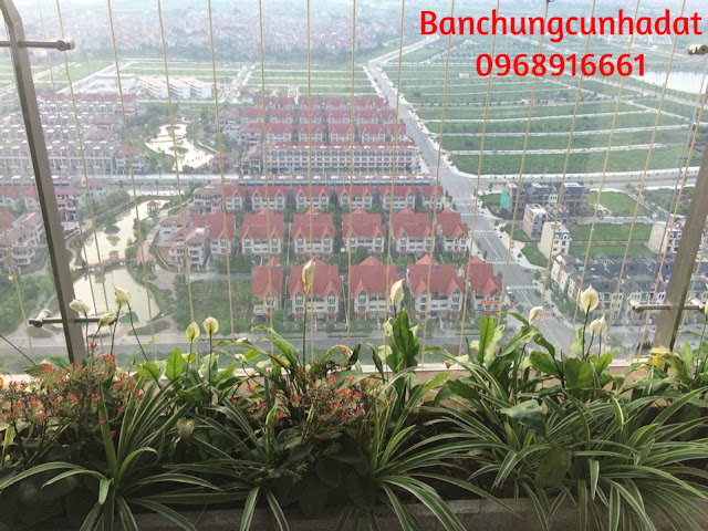 Penthouse - Hướng View KĐT Nam Cường Penthouse - Hướng View KĐT Nam Cường