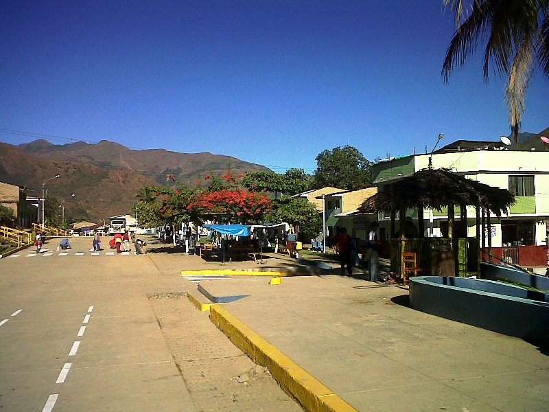 Amazonía y Pueblos Indígenas Echarate o Echarati