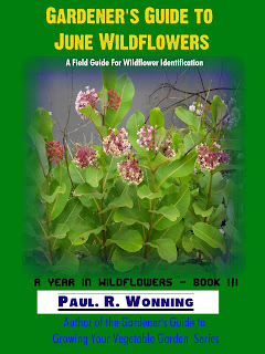 Gardener's Guide to June Wildflowers Gardener's Guide to June Wildflowers
